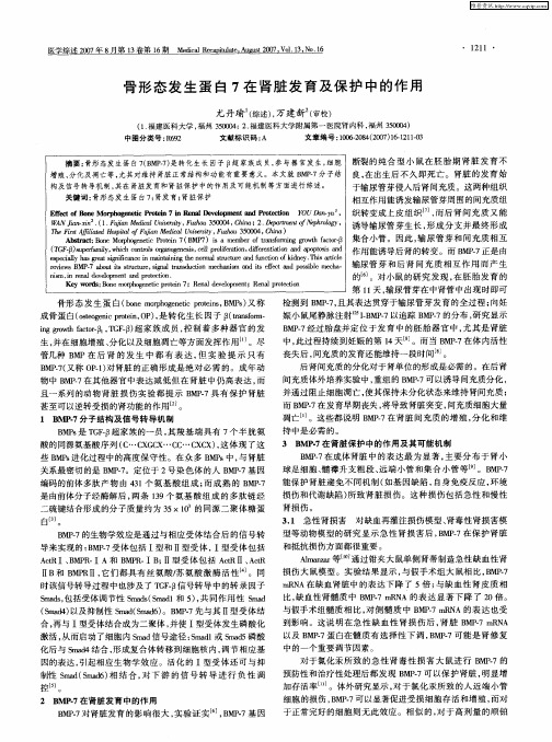 骨形态发生蛋白7在肾脏发育及保护中的作用