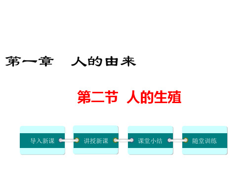 人教版七年级生物下册《人的生殖》精品ppt课件