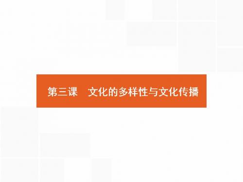 人教版2018高考政治第一轮总复习课件：3.2.3 文化的多样性与文化传播