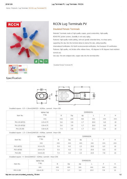 Lug Terminals PV