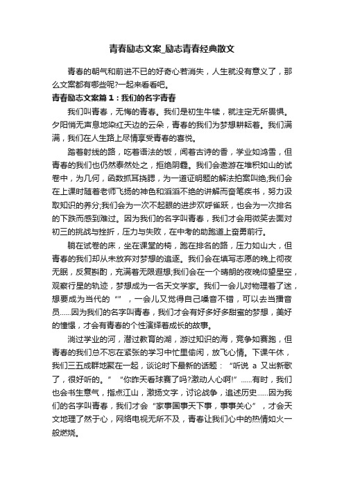 青春励志文案_励志青春经典散文