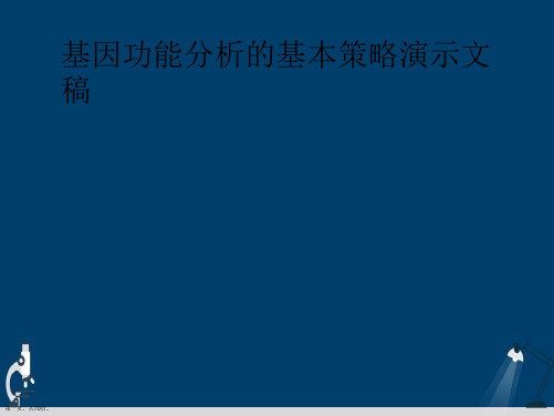 基因功能分析的基本策略演示文稿