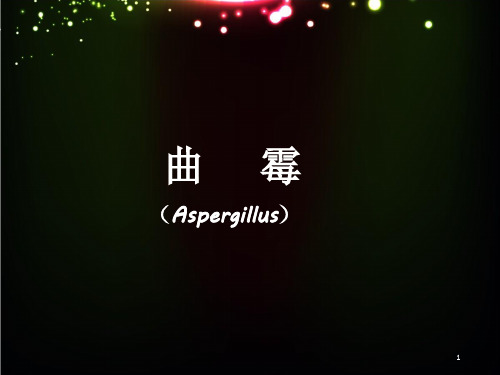 曲霉PPT课件