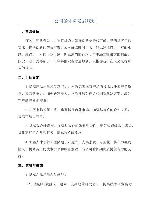 公司的业务发展规划