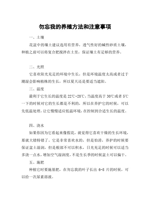 勿忘我的养殖方法和注意事项