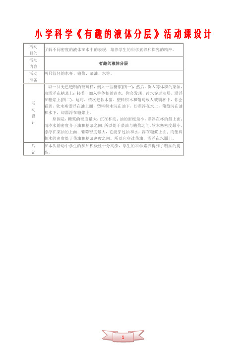 小学科学《有趣的液体分层》活动课设计