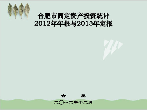 固定资产投资统计年报专题会PPT课件( 43页)