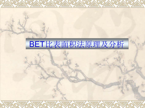 BET测试比表面积