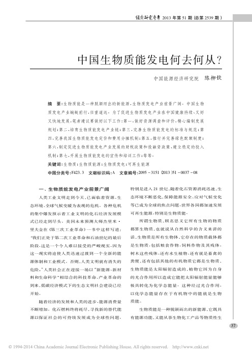 中国生物质能发电何去何从