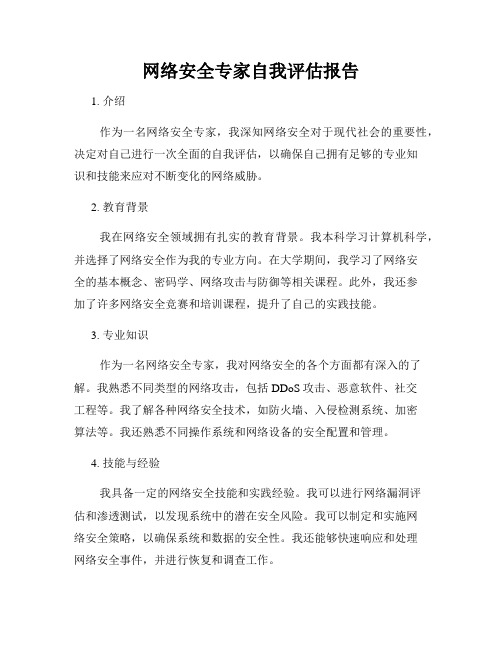 网络安全专家自我评估报告