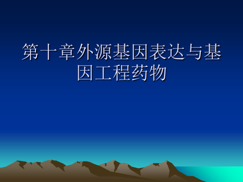 第十章外源基因表达和基因工程药物