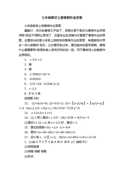 七年级数学上册寒假作业答案