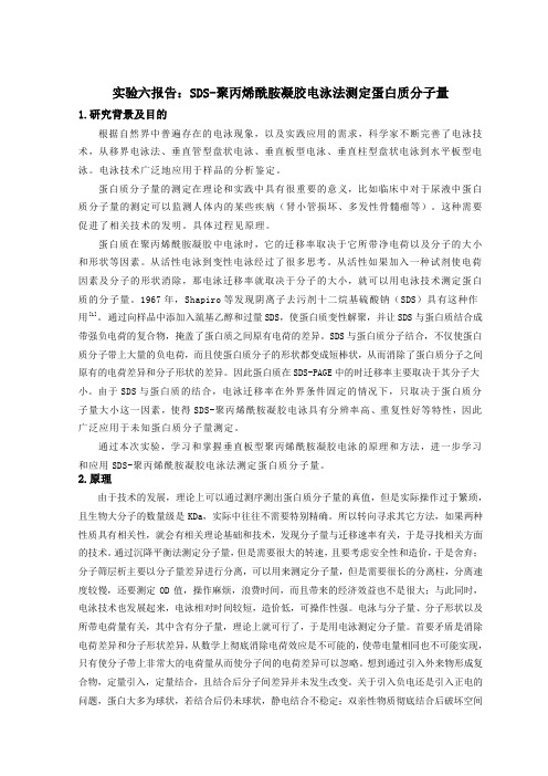 SDS-聚丙烯酰胺凝胶电泳法测定蛋白质分子量