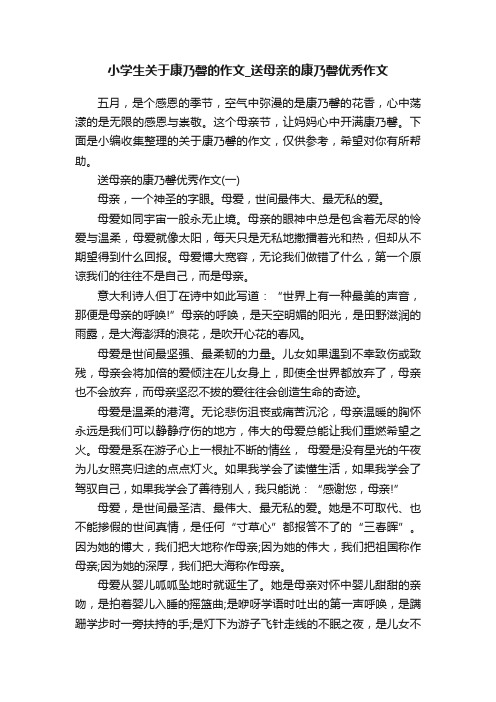 小学生关于康乃馨的作文_送母亲的康乃馨优秀作文