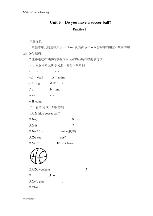 人教版七年级上册英语Unit 5  Do you have a soccer ball