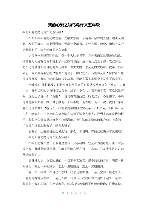 我的心爱之物乌龟作文五年级