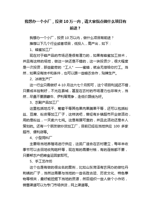 我想办一个小厂，投资10万一内，请大家指点做什么项目有前途？