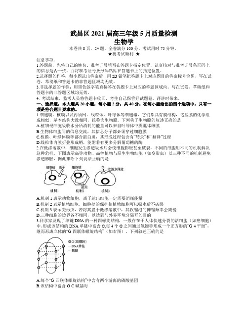 湖北省武汉市武昌区2021届高三下学期5月质量检测生物试题 含答案