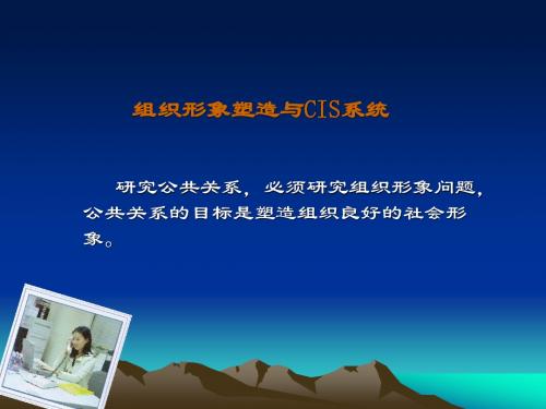 组织形象塑造与CIS战略(苏)