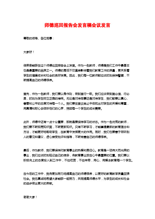 师德巡回报告会发言稿会议发言