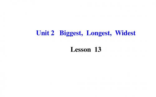 Unit 2 Biggest,Longest,Widest Lesson 13课件  冀教版九年级上册