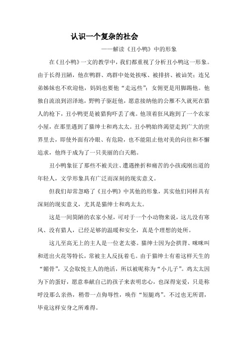 认识一个复杂的社会——解读《丑小鸭》中的形象