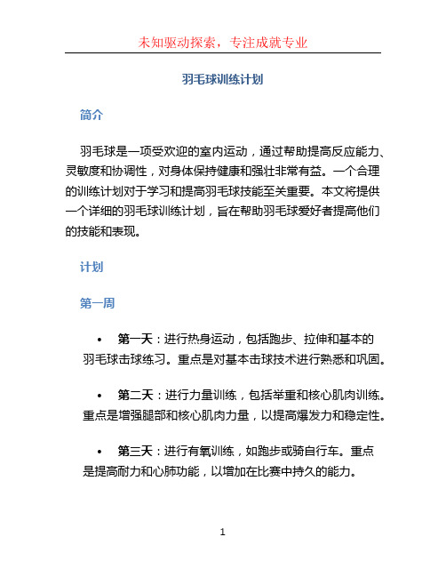 羽毛球训练计划