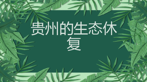 贵州的生态休复