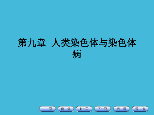 第六章人类染色体与染色体病