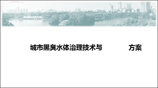 城市黑臭水体治理技术与应用实践方案