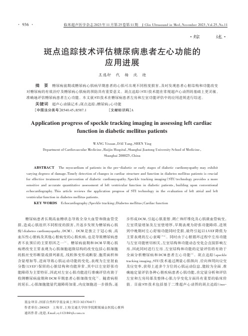 斑点追踪技术评估糖尿病患者左心功能的应用进展