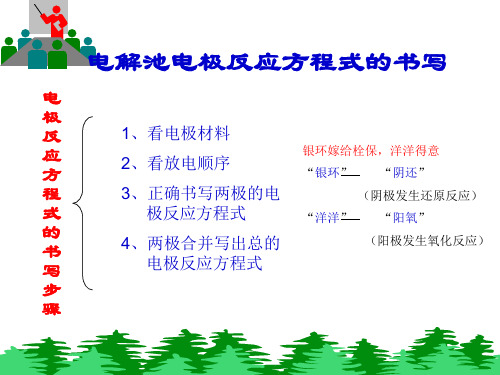 电解池电极反应方程式的书写电极反应方程式的书写步骤