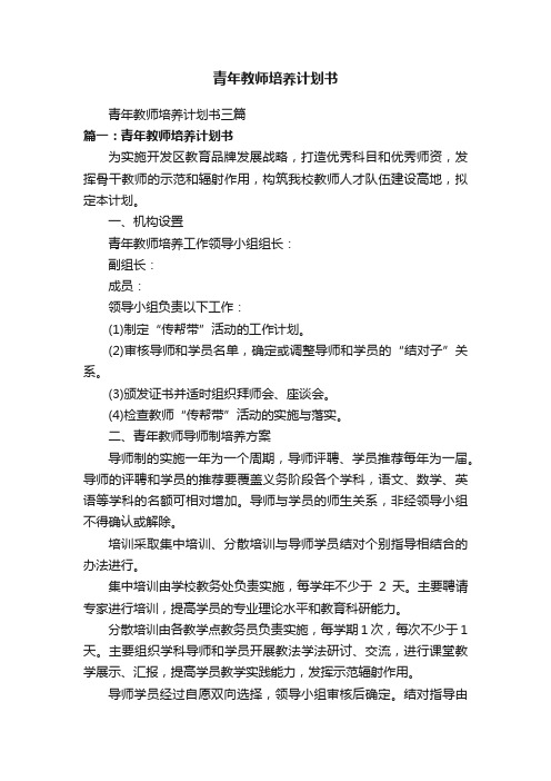 青年教师培养计划书三篇