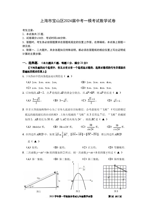 上海市宝山区2024届中考一模考试数学试卷(附答案)