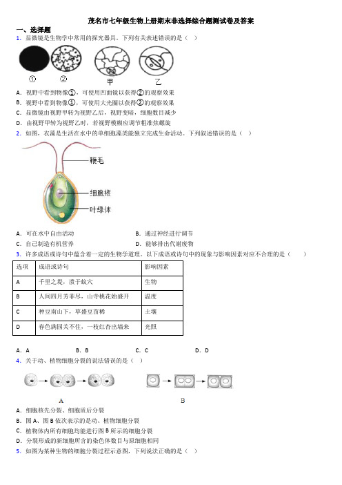 茂名市七年级生物上册期末非选择综合题测试卷及答案