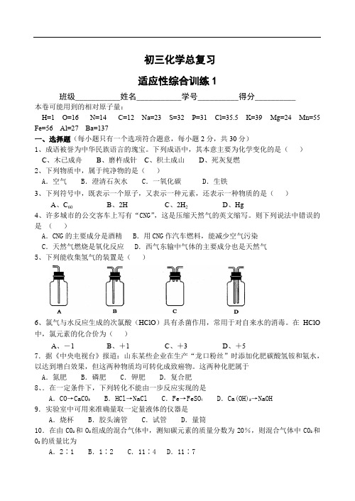 中考化学 初三化学总复习 专题训练及临考适应性综合训练 适应性综合训练1