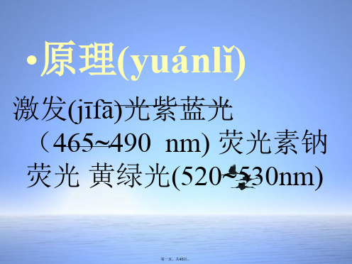 眼底血管荧光造影文档