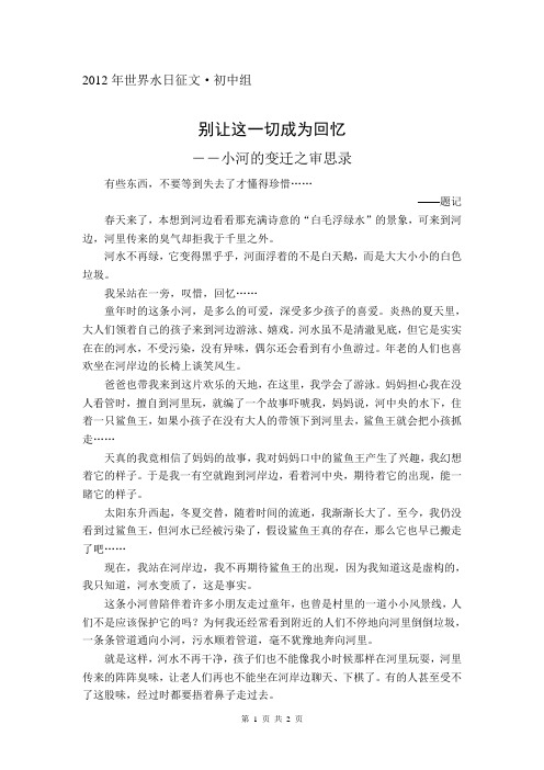 别让这一切成为回忆――小河的变迁之审思录