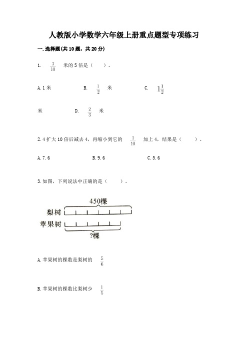 人教版小学数学六年级上册重点题型专项练习含完整答案【必刷】