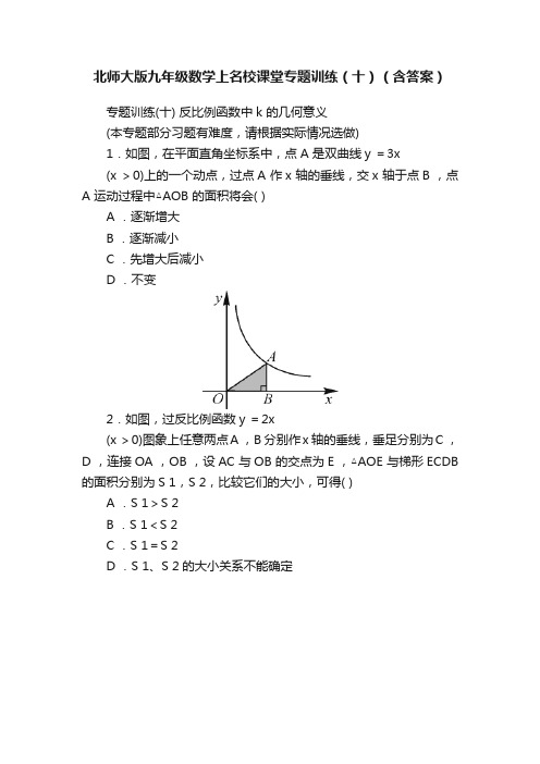 北师大版九年级数学上名校课堂专题训练（十）（含答案）