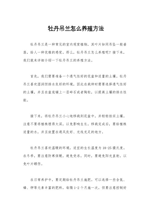 牡丹吊兰怎么养殖方法