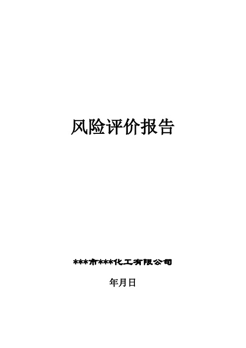 风险评价报告