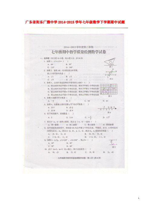 广东省阳东广雅中学七年级数学下学期期中试题(扫描版) 新人教版 