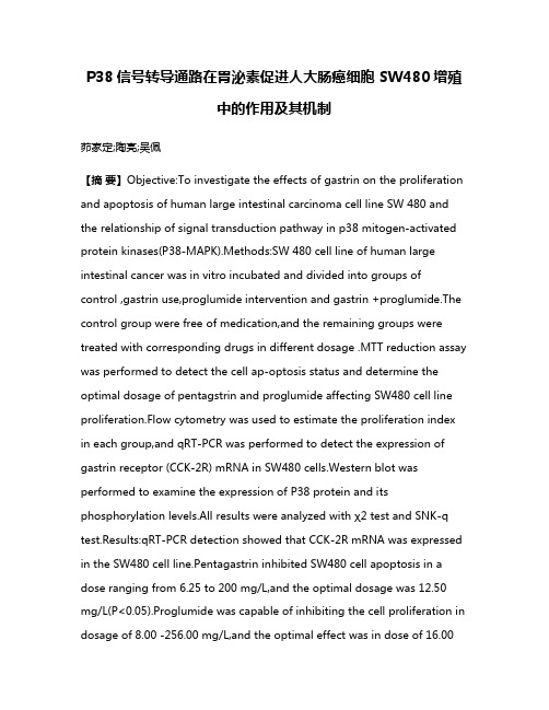 P38信号转导通路在胃泌素促进人大肠癌细胞 SW480增殖中的作用及其机制