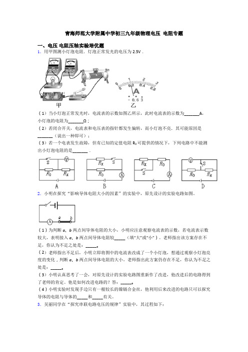 青海师范大学附属中学初三九年级物理电压 电阻专题