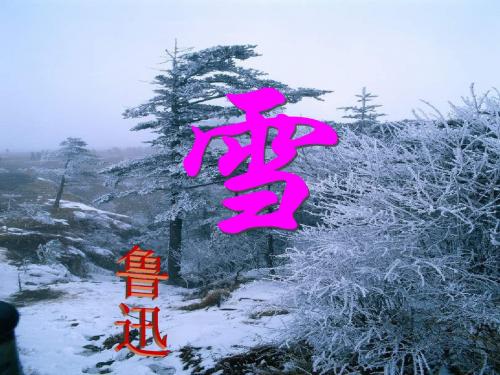 鲁迅《雪》终稿