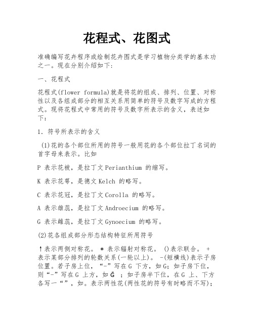 花程式、花图式