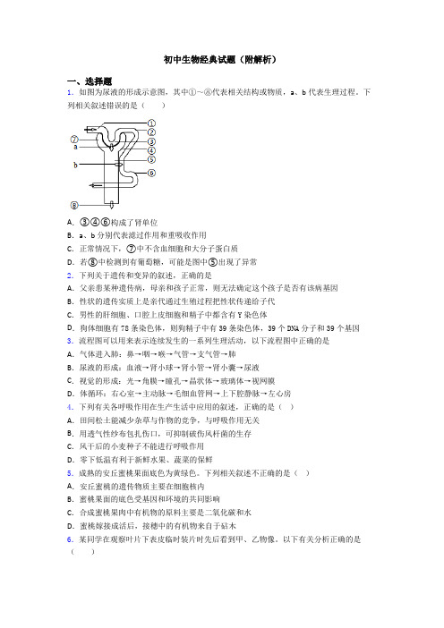 初中生物经典试题(附解析)