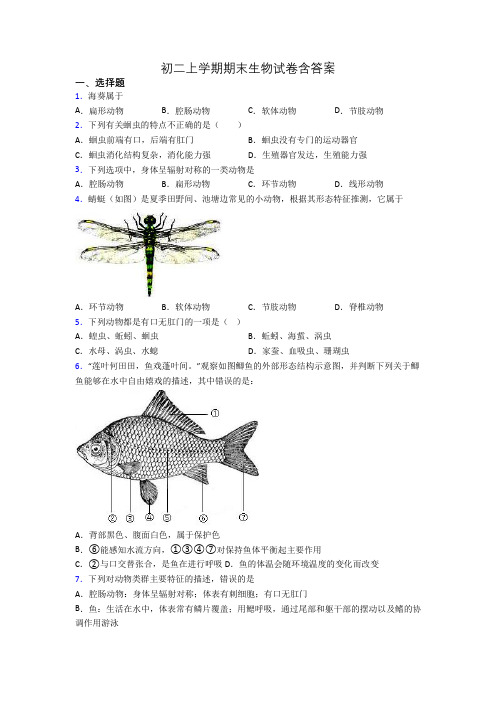 初二上学期期末生物试卷含答案