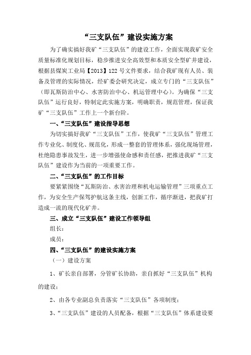 三支队伍建设实施方案.doc